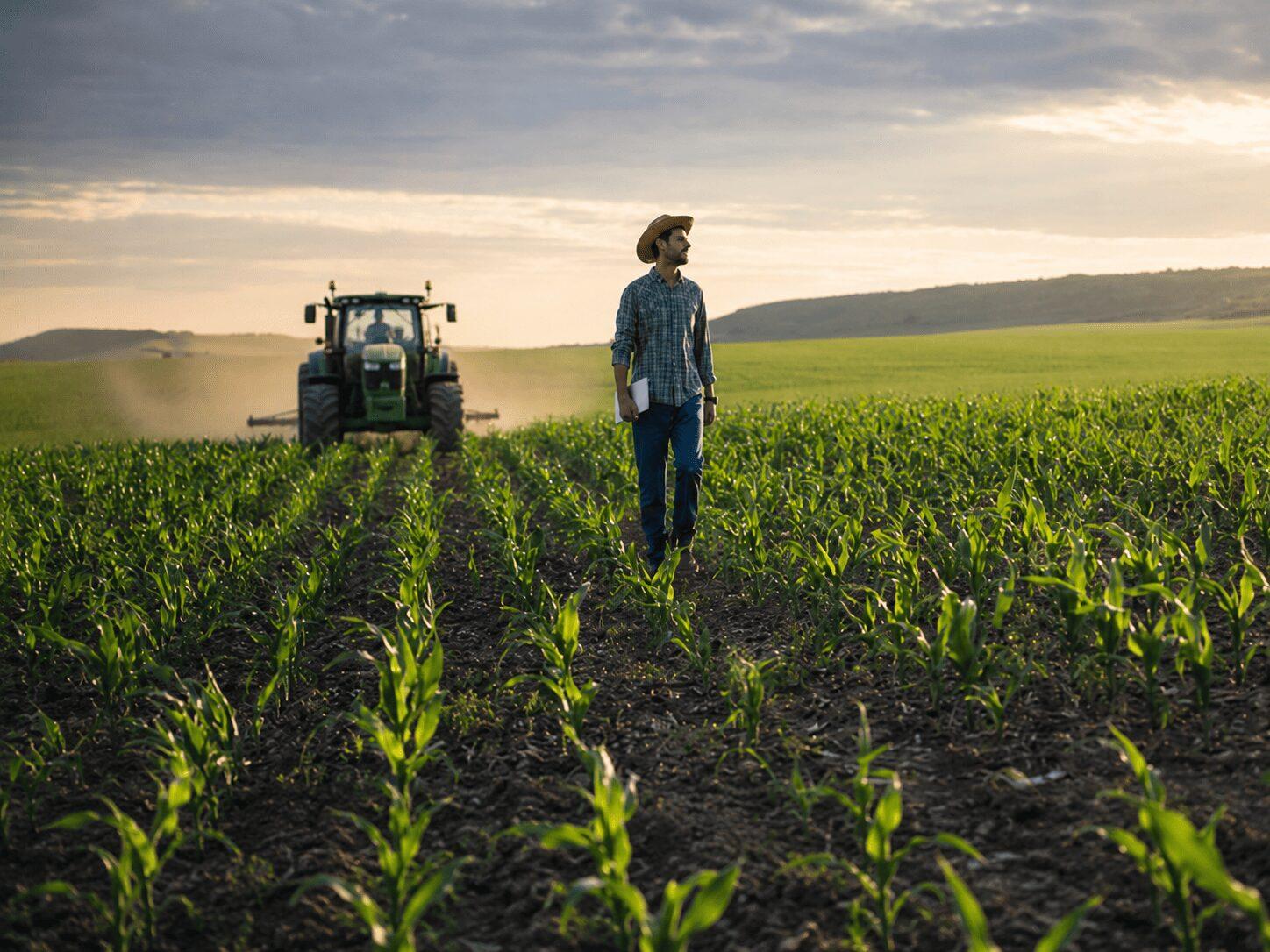 Profesional del agro en un campo de cultivo al atardecer